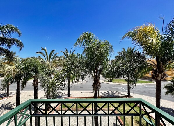 Property grounds - Tavira Palm Tree by Homing (Tavira)