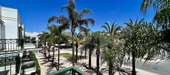 Tavira Palm Tree by Homing