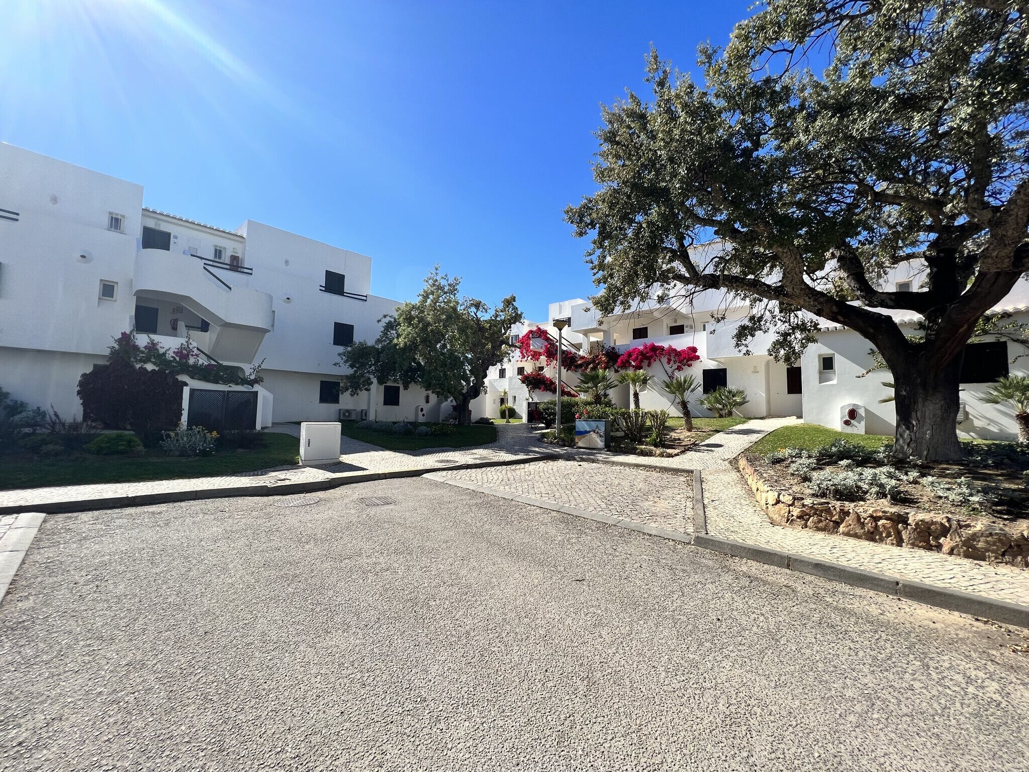 A courtyard with white buildings, a large tree, and a paved area.