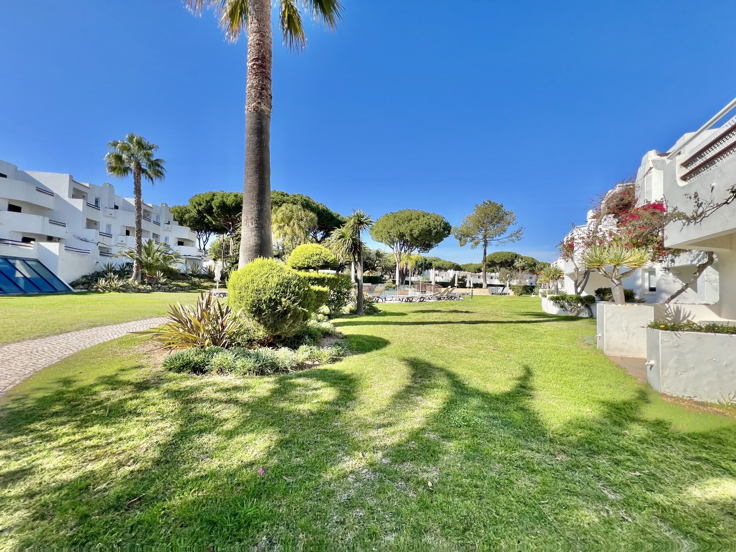 A well-maintained garden with palm trees and manicured lawns, surrounded by modern buildings with balconies.