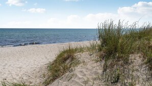 Una playa arenosa con poca vegetación y un mar tranquilo.