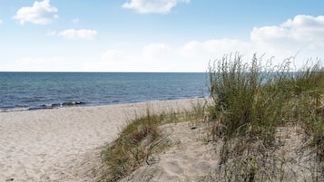 Beach nearby, fishing