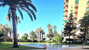 A swimming pool with a tiled edge, surrounded by palm trees and a building in the background.