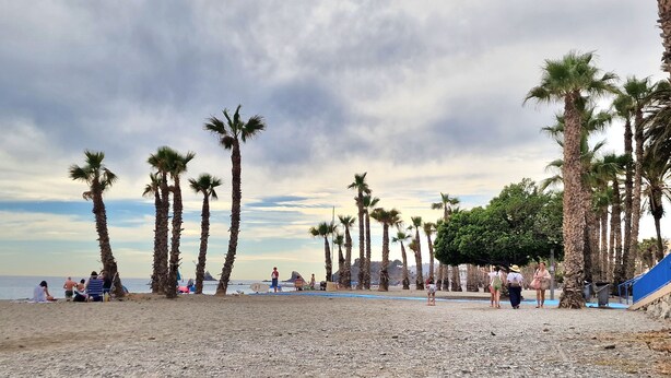 A beach with palm trees and people relaxing.