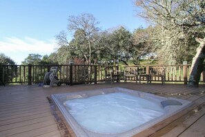 Terrace/patio - Exceptional Wine Country Estate (Sonoma)