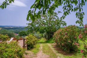 Un sendero rural rodeado de vegetación y árboles, que lleva a una vista distante de un valle.
