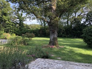 Un jardin avec un grand arbre, un banc en pierre et diverses plantes.