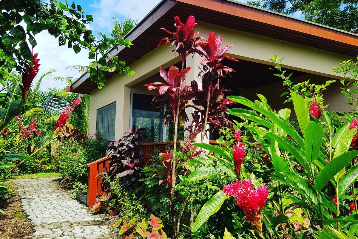 A house with a stone pathway leading to the entrance, surrounded by lush tropical plants and a clear blue sky.