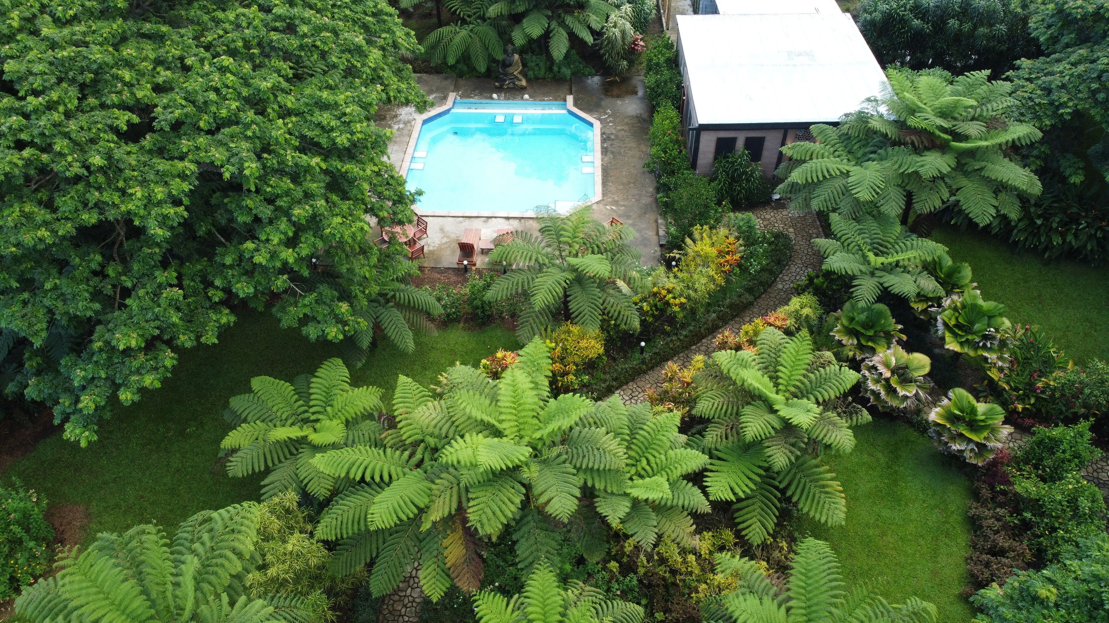 Outdoor pool, pool loungers