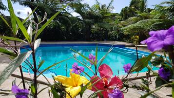 Outdoor pool, sun loungers