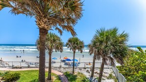 A beach with palm trees, a pathway, and umbrellas.