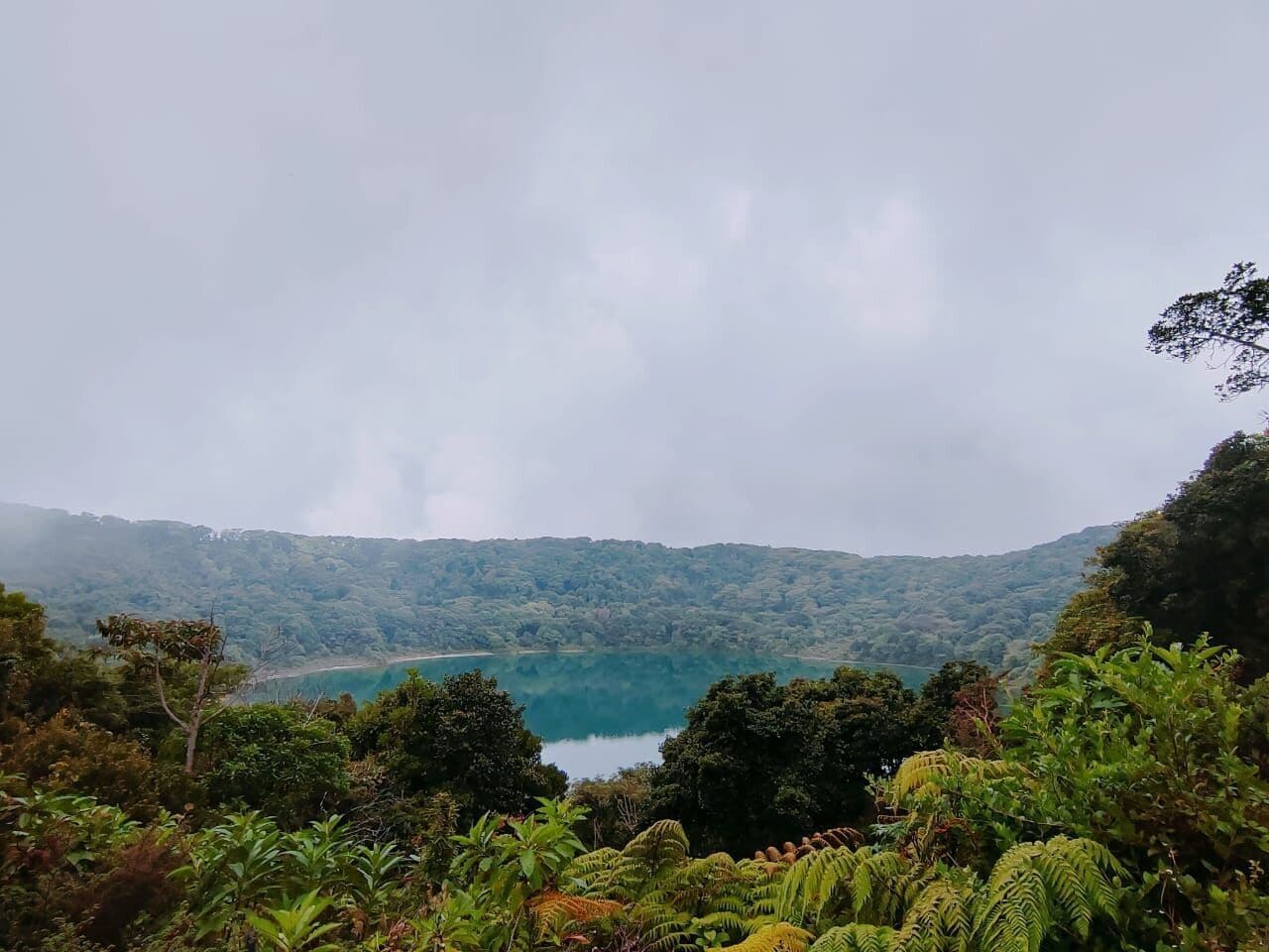A lush, green landscape with dense foliage and a lake in the distance.