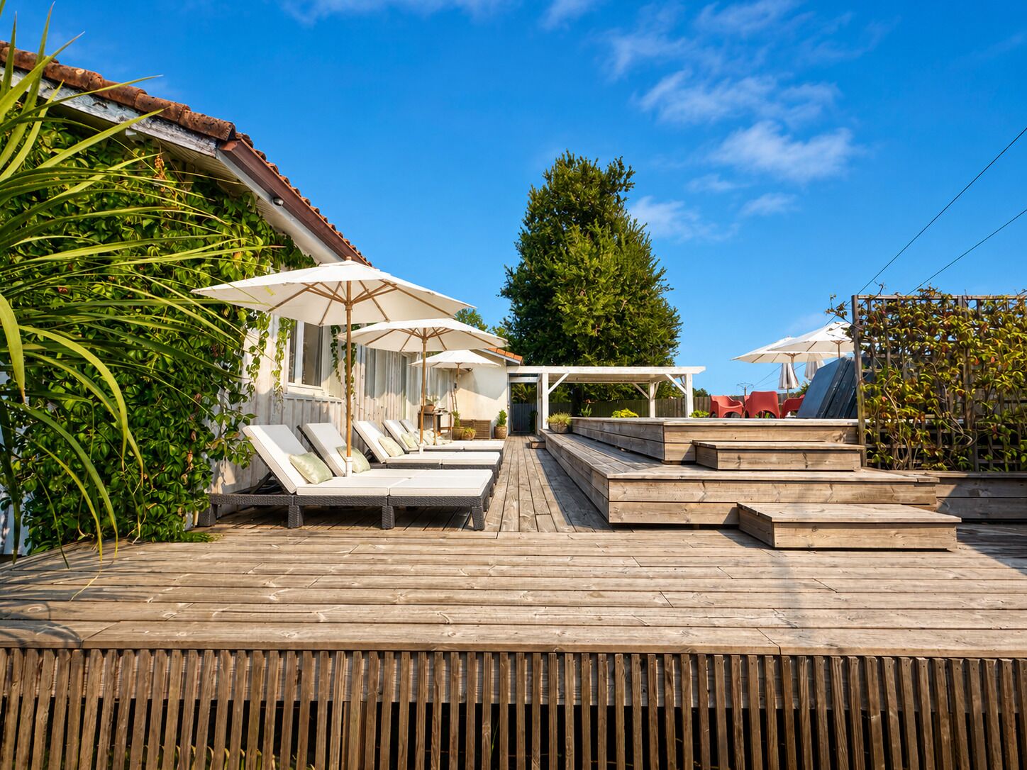 A wooden deck with lounge chairs and umbrellas, a pergola, and a tall tree in the background.