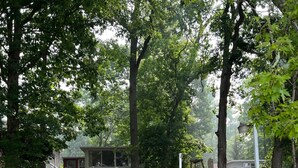 A wooden staircase leading to a cabin with a number sign '10442' in front. - Beautiful cottage on the lake
2 bedroom, 1 bath, sleeps 7-8 (Three Rivers)