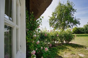 Un jardí amb roses en flor i una estructura de teules.