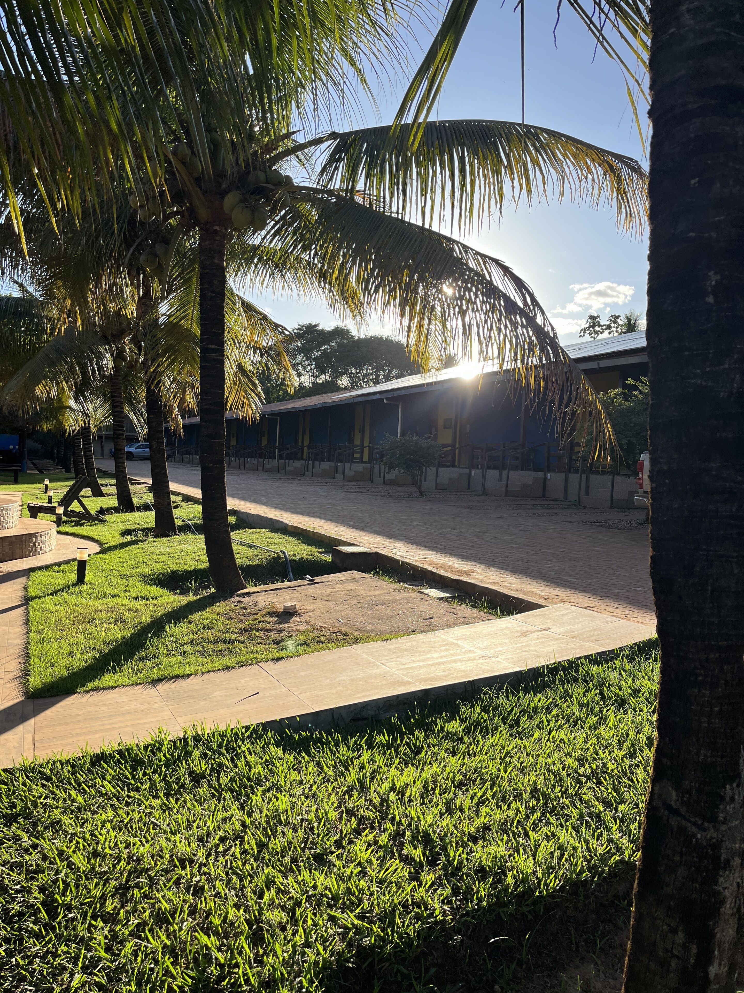 A courtyard with palm trees, a paved walkway, and a building with a sloped roof.