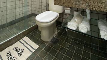Ducha, toallas, papel higiénico