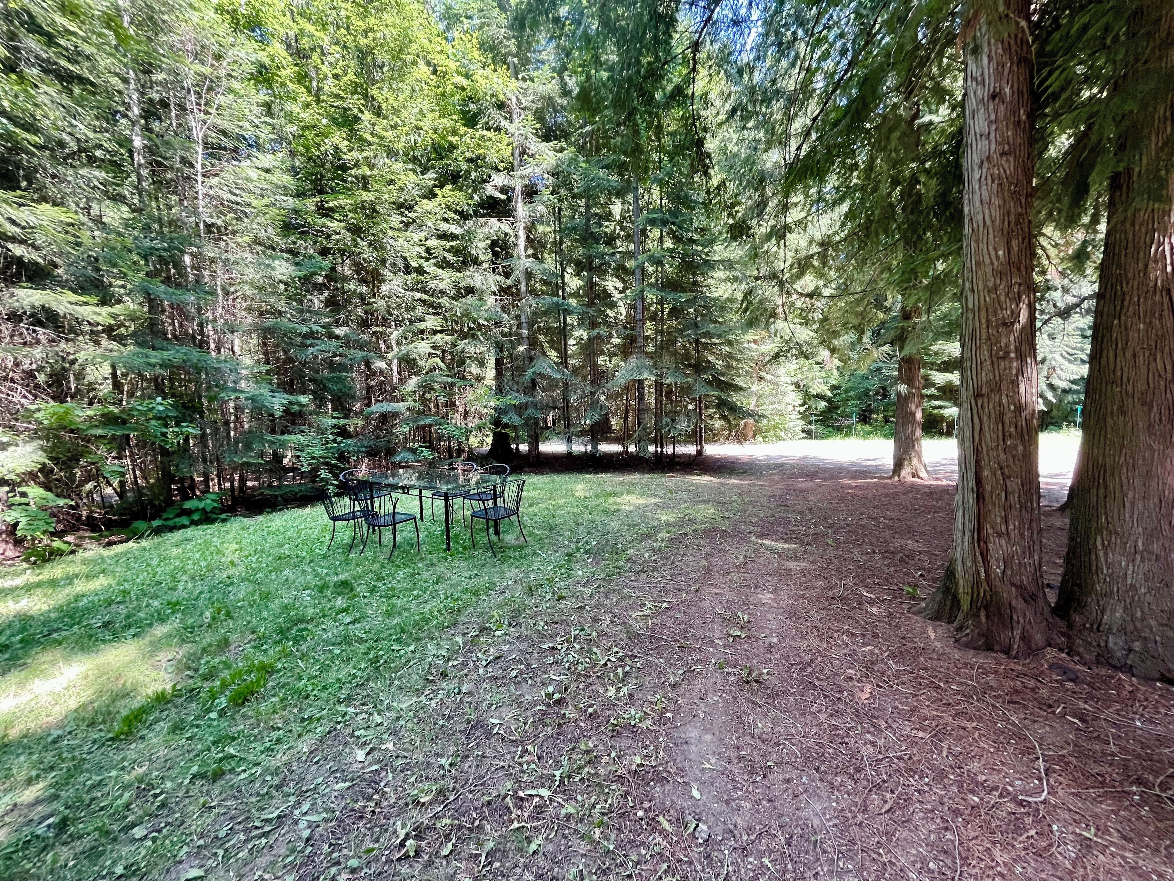 Een bebost gebied met een picknicktafel en stoelen, omgeven door hoge bomen en een onverhard pad.