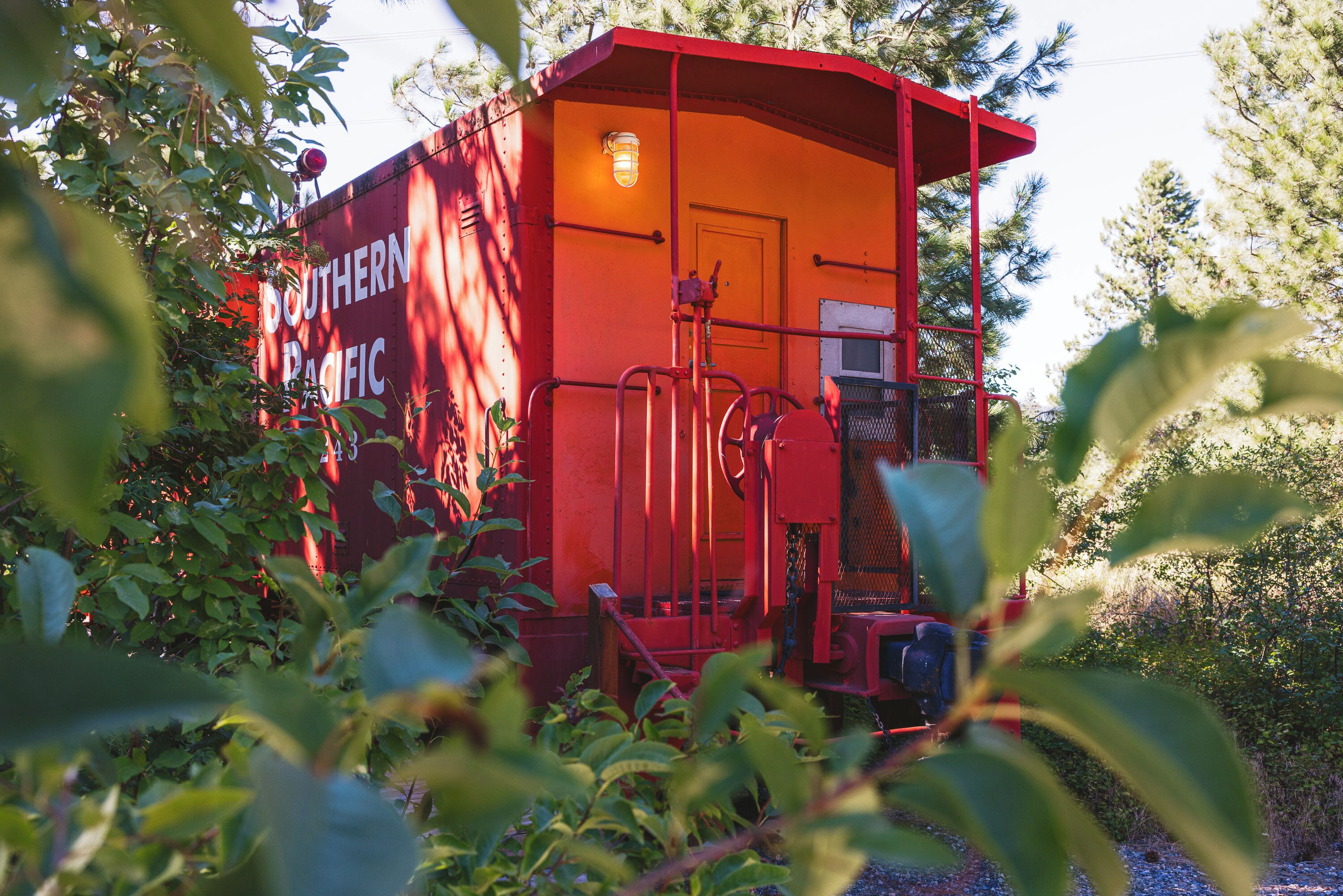 Un wagon de train rouge, portant l’inscription « Southern Pacific » sur son côté, entouré de verdure.