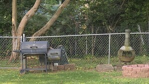 A barbecue grill and a wood-fired oven set up outdoors, surrounded by a chain-link fence and trees. - Cozy Atlanta Apt Near Downtown & Airport (Atlanta)