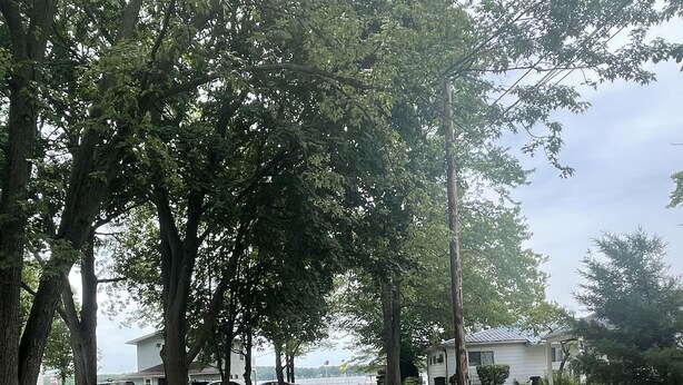 A gravel driveway leading to a house with a view of a body of water. - Guest favorite Devils Lake Dock Private Fenced Yard Blackstone Grill (Manitou Beach-Devils Lake)