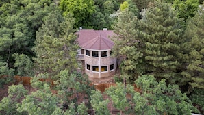 A circular house surrounded by dense forest. - Spacious Mountain Hideaway 4 BD 3 BA W/ Hot Tub (Ogden)