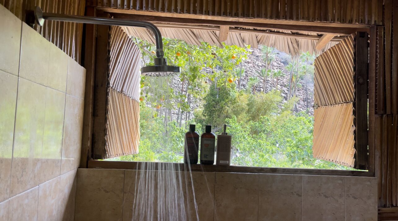 Ducha con vistas a árboles y botellas.