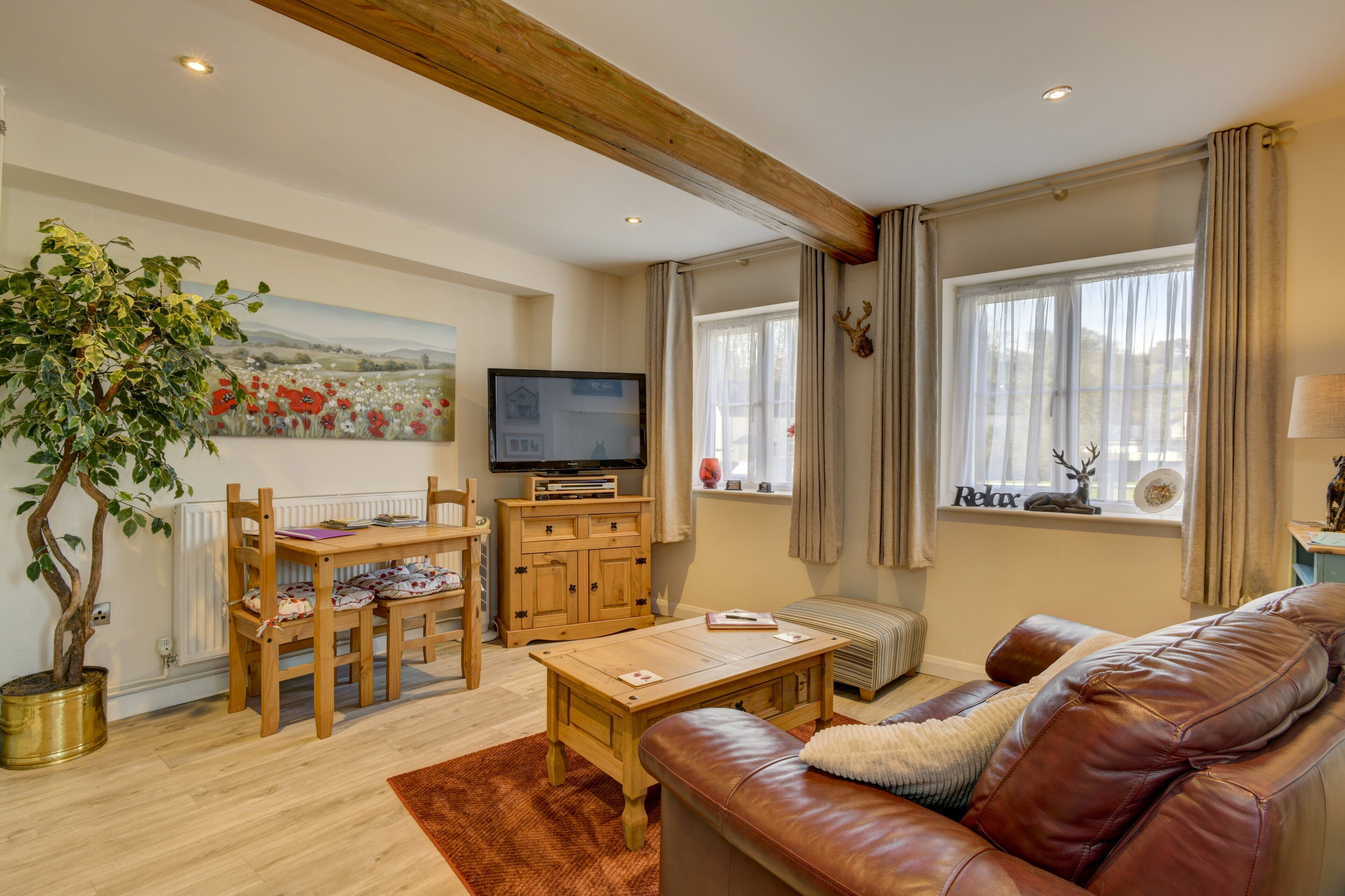 Télévision, lecteur de DVD