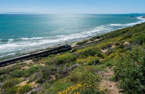 Beach - Beach Condo in Carpinteria with Swimming Pool (Carpinteria)