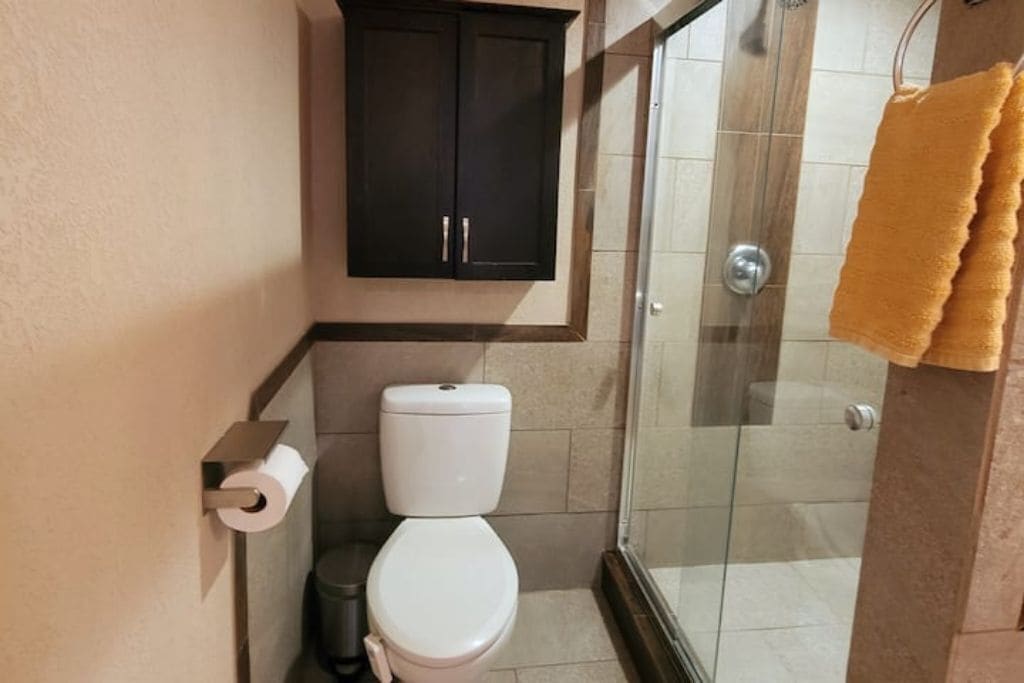 A bathroom with a toilet, a cabinet, and a glass shower enclosure.