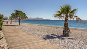 A wooden boardwalk leading to a pebble beach with a palm tree and pine tree. - le corail by Interhome (Villeneuve-Loubet)