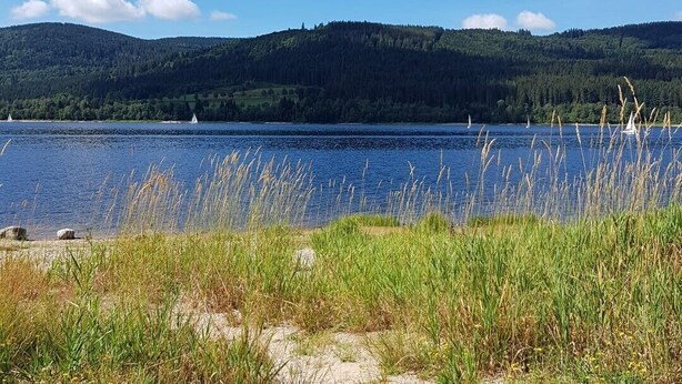 Un lago con barche, sponde erbose e colline boscose sullo sfondo.