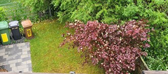 Apartment 'Rosenzauber Gipfelstürmer' with Shared Garden and Wi-Fi