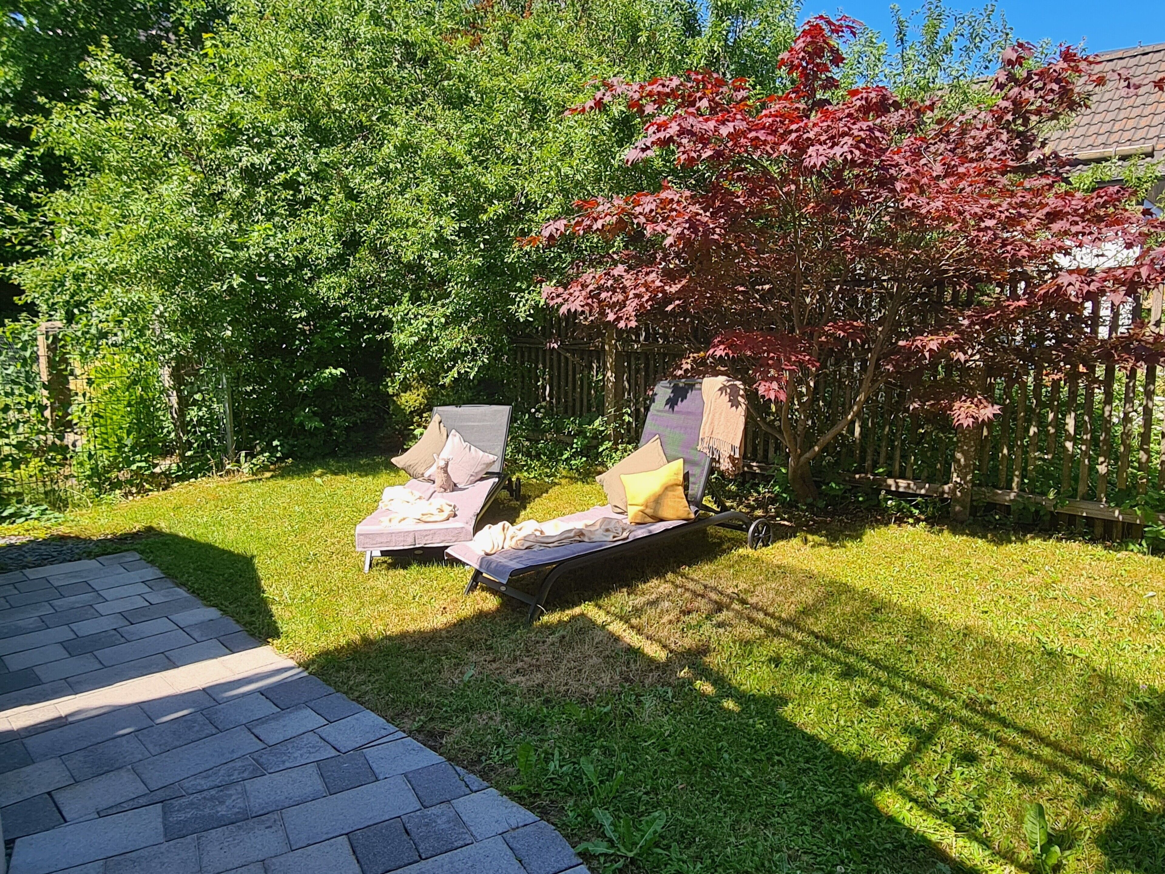 A backyard with two lounge chairs, a small tree with red leaves, and a wooden fence.