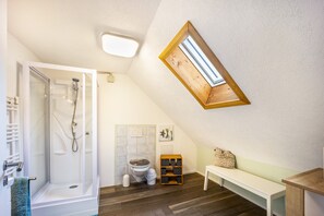 Une salle de bain avec douche, toilettes et une lucarne.