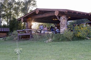 Unclassified image, 3 of 49, button