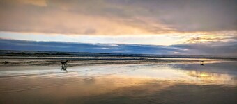 Venus Bay Blue