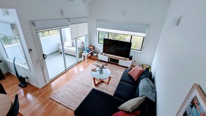 Smart TV, video game console, DVD player, video library