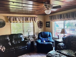 TV, caminetto, libri