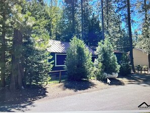 A cabin surrounded by trees with a metal roof, a fenced yard, and a clear sky. - 2 bedroom cabin in mineral (Mineral)