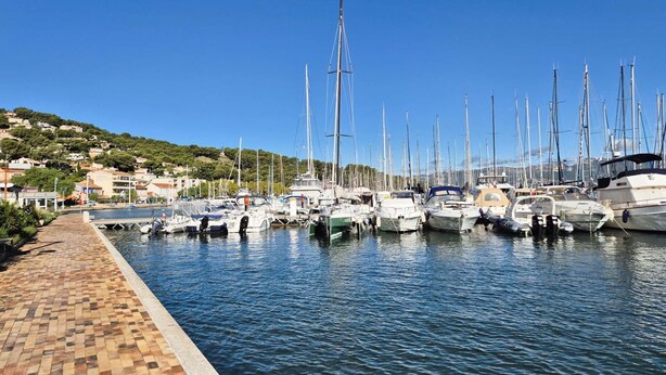 Un puerto deportivo con barcos amarrados a lo largo de un paseo pavimentado.