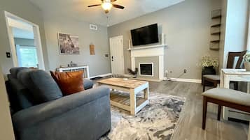 Smart TV, fireplace, books
