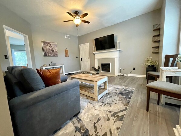 Smart TV, fireplace, books