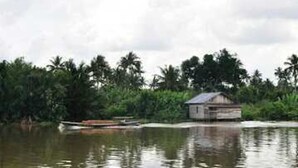 Una casa flotante en un río tranquilo rodeada de abundante vegetación.