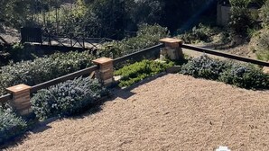 En anlagt have med grussti, stenmure og frodig beplantning.