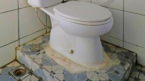 Inodoro con tanque y asiento blancos, un pulsador de descarga visible y una manguera conectada a la pared.