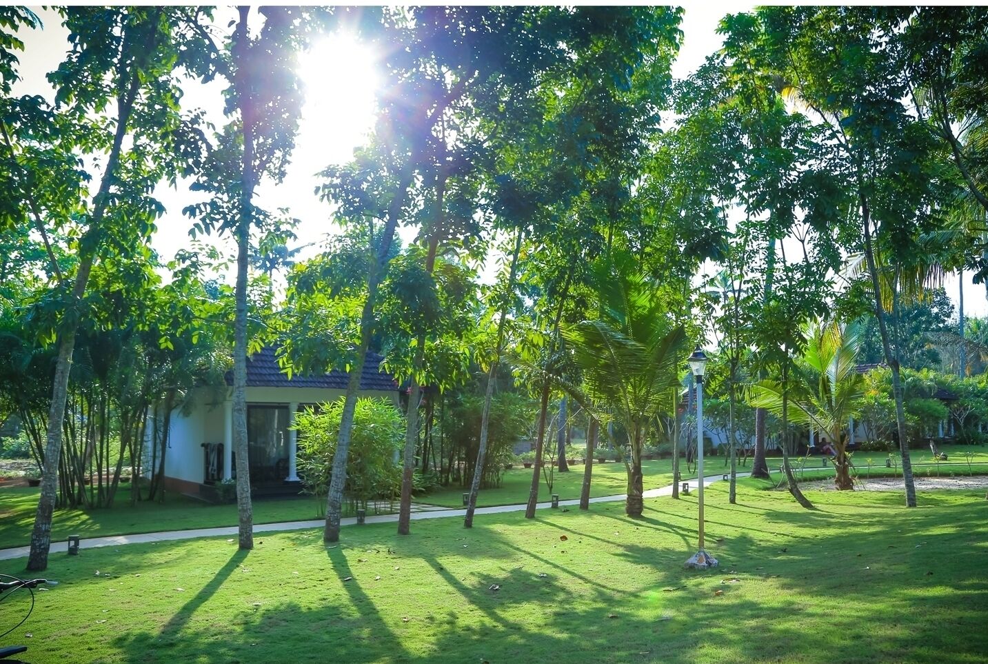 A well-maintained garden with a pathway leading to a building with a tiled roof.