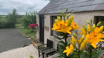 DĂ©tail de lâextĂ©rieur