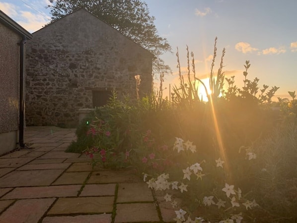 Un edificio in pietra con tetto spiovente, circondato da un giardino con piante fiorite ed erba alta.