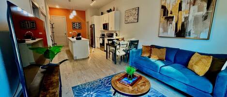 TV, fireplace, video games, DVD player